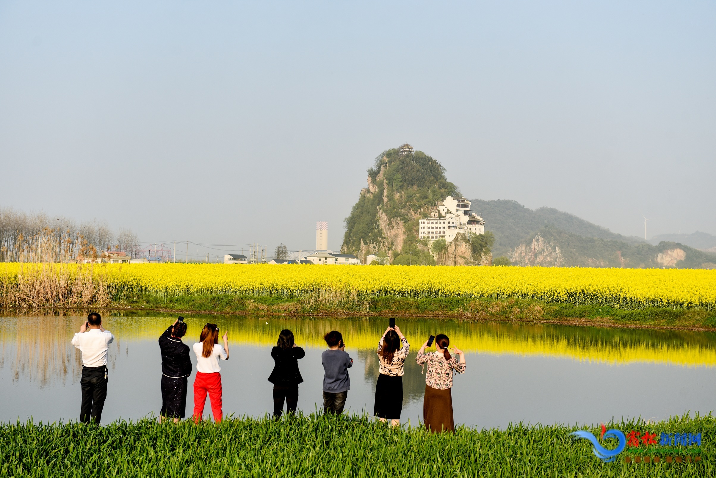游客賞花 (2).JPG