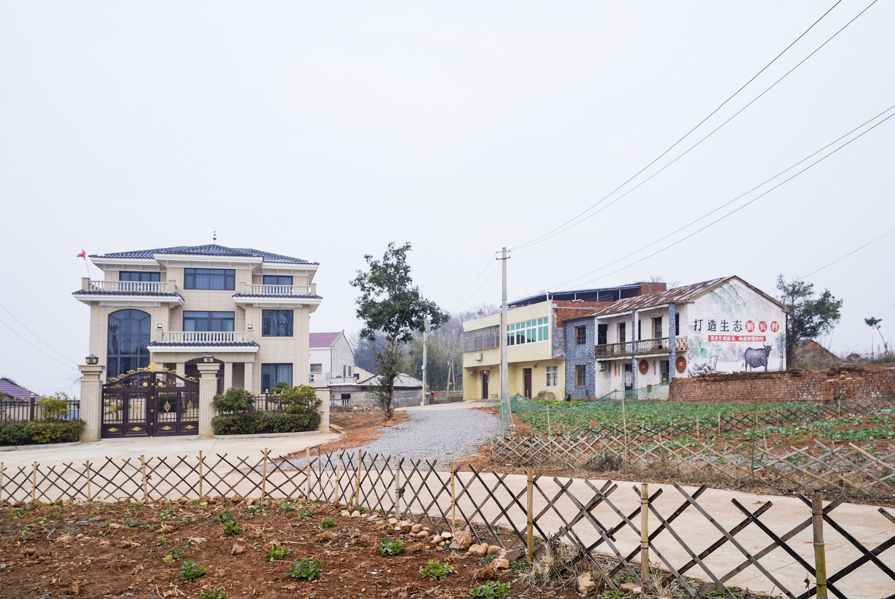 馬山村劉屋組美麗的農(nóng)家庭院.jpg